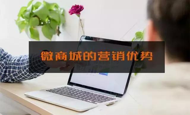 天津小程序開發(fā)，天津小程序制作，天津微商城開發(fā)，電商網(wǎng)站建設(shè)，網(wǎng)上商城系統(tǒng)，天津網(wǎng)站設(shè)計